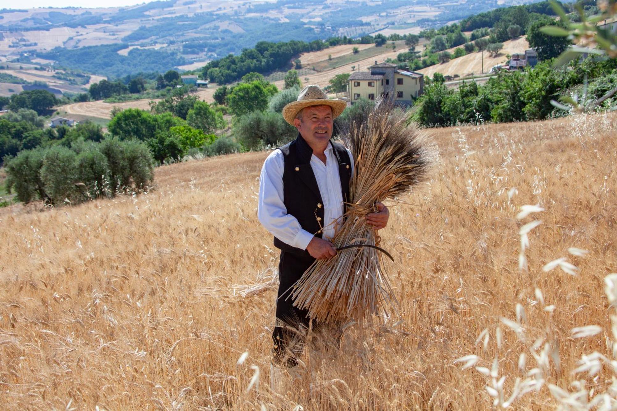 Agriturismo Terra E Sapori Campodipietra Bagian luar foto