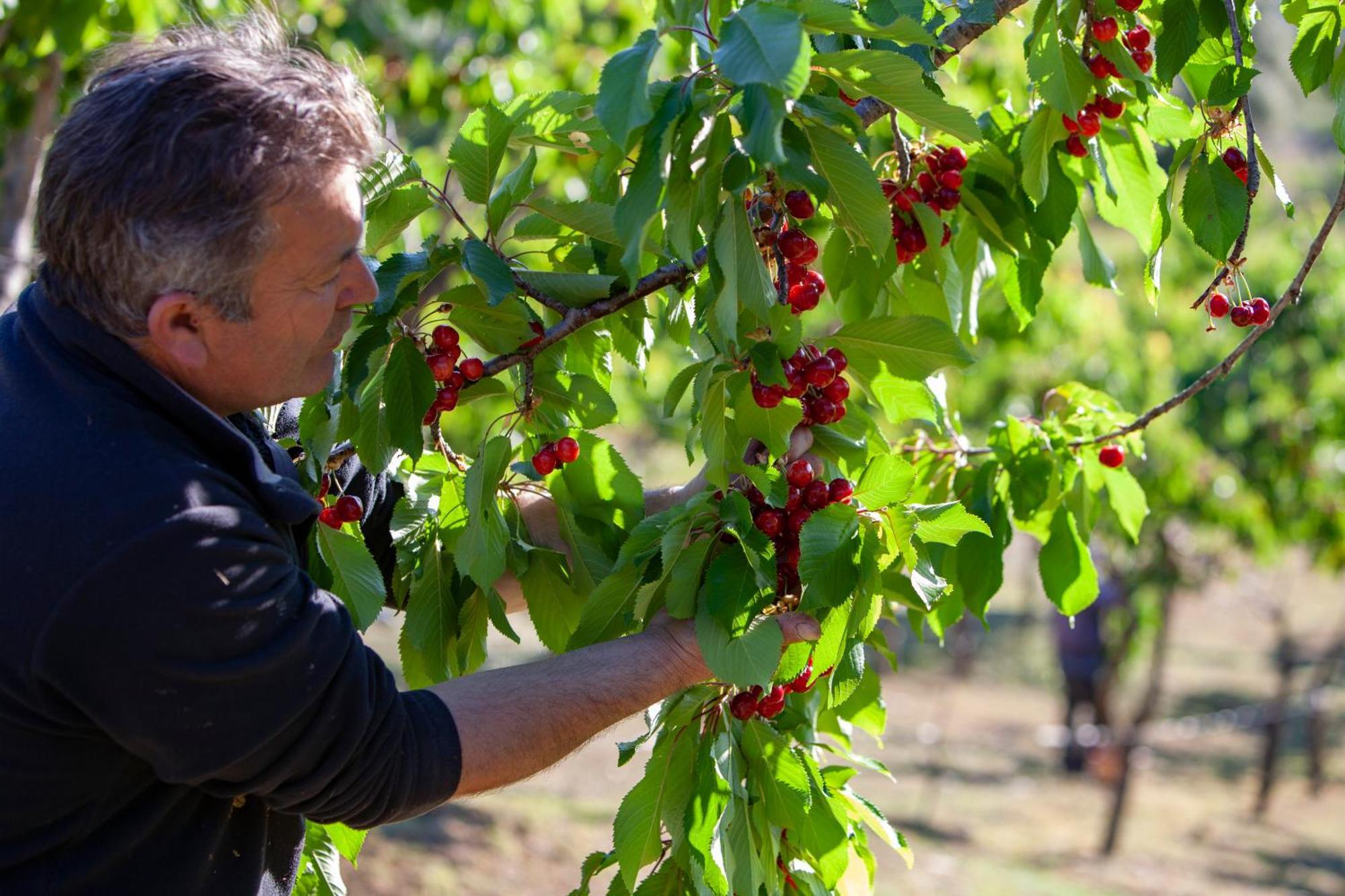 Agriturismo Terra E Sapori Campodipietra Bagian luar foto